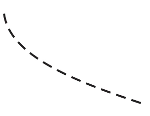 Alternativa D: curva que começa próxima da vertical e se inclina progressivamente para a direita.