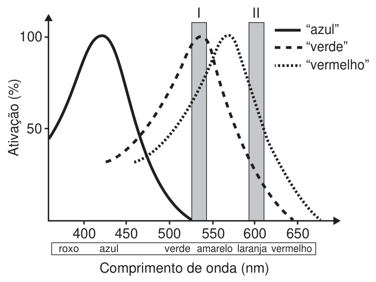 Óptica — Percepção das cores — Daltonismo: figura do caderno original