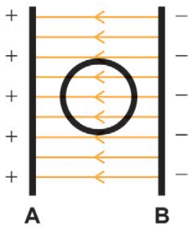 Alternativa B