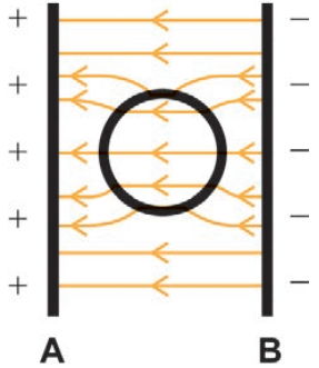 Alternativa C