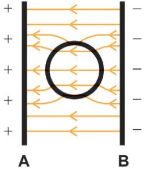 Alternativa C