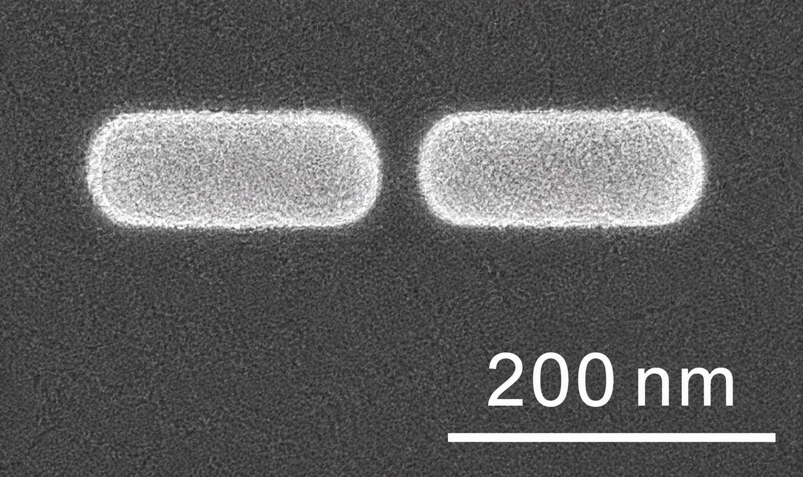 Imagem de microscopia (SEM) de duas nanoestruturas de ouro em forma de bastão