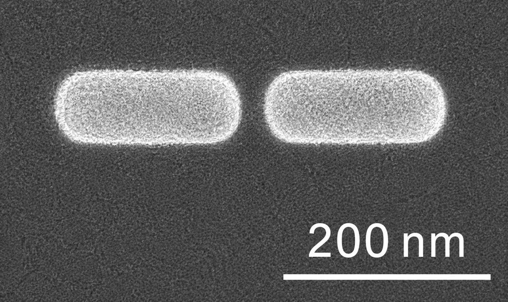 Imagem de microscopia (SEM) de duas nanoestruturas de ouro em forma de bastão