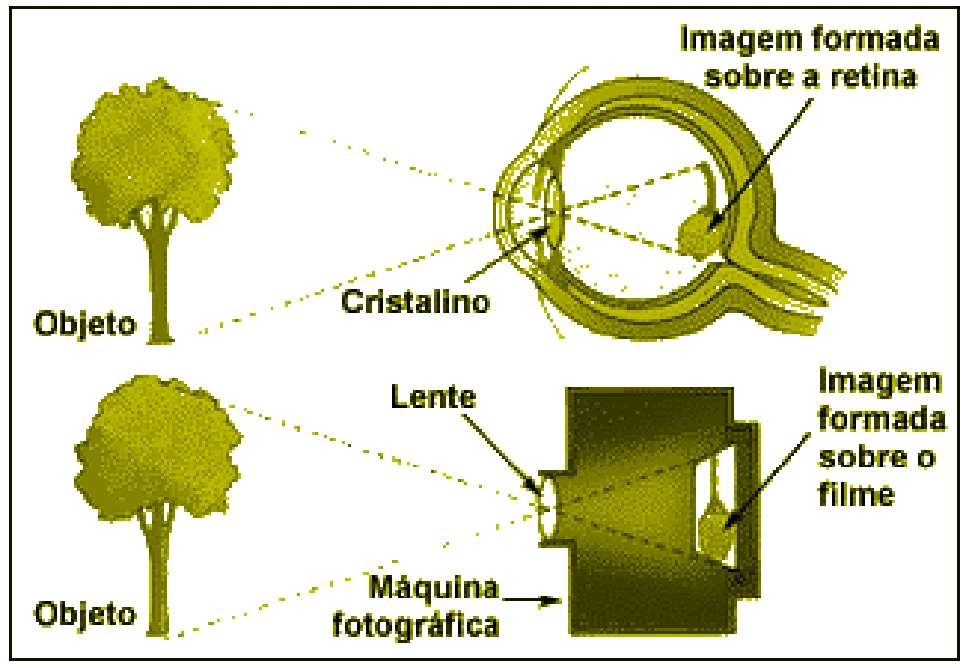 Figura da questão 29 de Física — EMESCAM 2011.2
