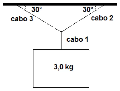 Quadro de 3,0 kg preso por três cabos: o cabo 1 vertical e os cabos 2 e 3 formando 30° com o teto — questão 29, UEG SAS 2015/1