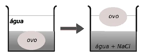 Figura da questão 74 — UEG 2009.1