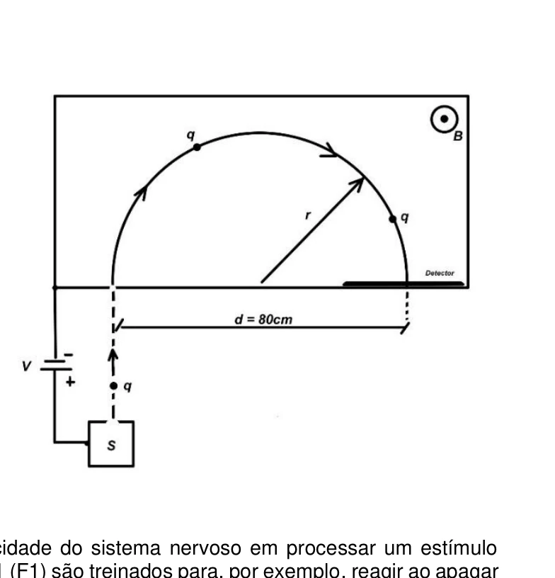 Figura da questão 25 — UEG Medicina 2026.1 Tipo 1
