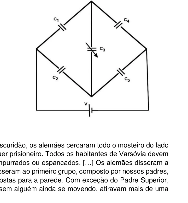Figura da questão 28 — UEG Medicina 2026.1 Tipo 2