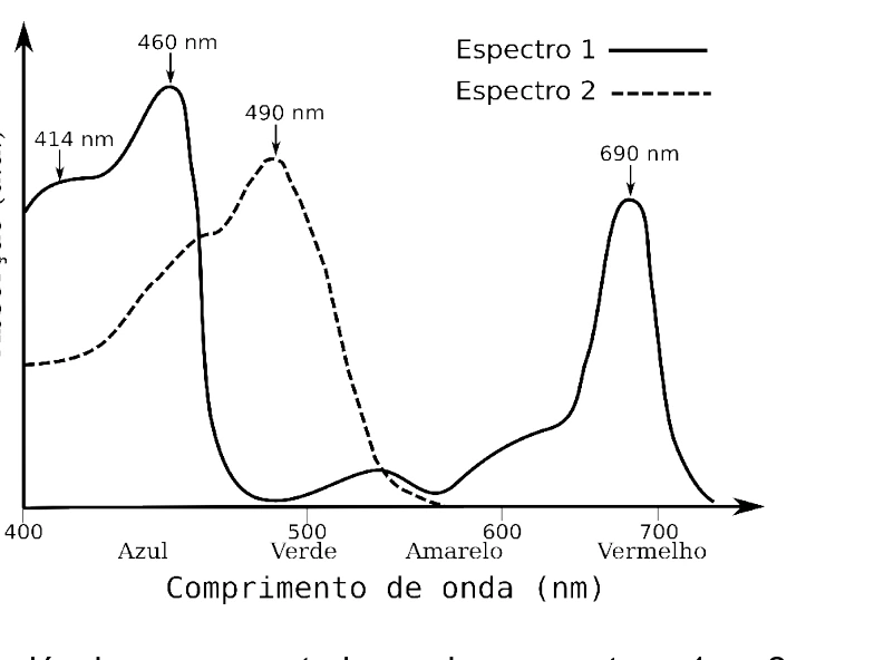 Espectros de absorção 1 e 2 em função do comprimento de onda, com picos em 414, 460, 490 e 690 nm