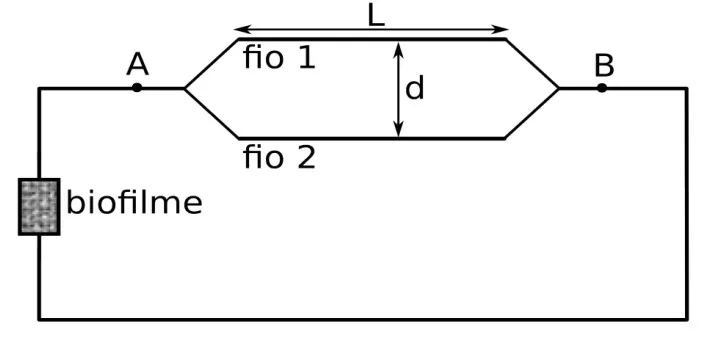 Circuito alimentado por biofilme com dois fios paralelos entre os pontos A e B