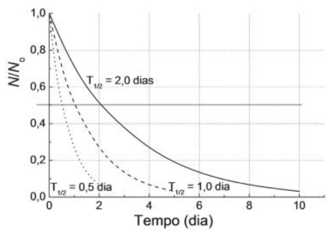 Curvas de decaimento exponencial com meias-vidas de meio dia, um dia e dois dias.