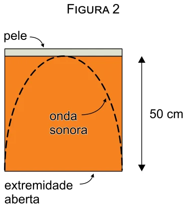 Figura 2: interior do surdo com 50 cm de altura, a pele na extremidade fechada, a extremidade aberta embaixo e uma curva tracejada representando a onda sonora estacionária