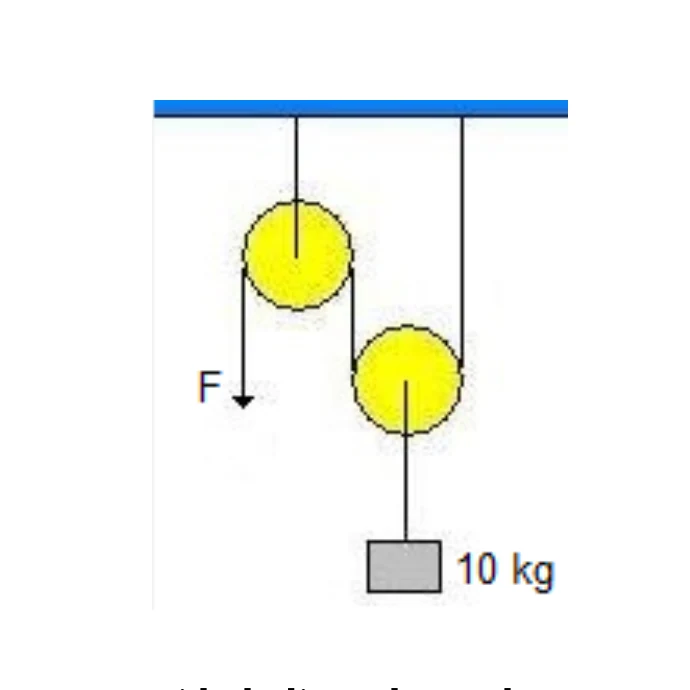 Sistema ideal com uma polia fixa, uma polia móvel e uma massa de 10 kg.