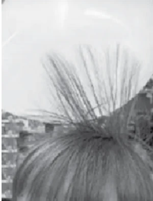 Fios de cabelo atraídos por um balão eletrizado por atrito.