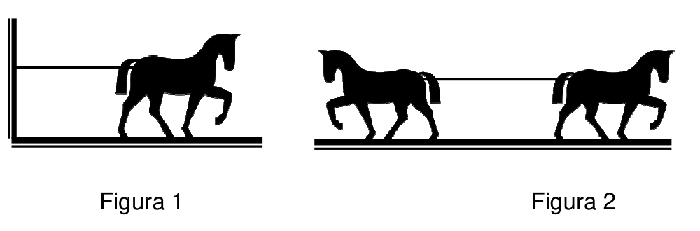 Um cavalo puxa uma corda presa à parede; dois cavalos puxam a outra em sentidos opostos.