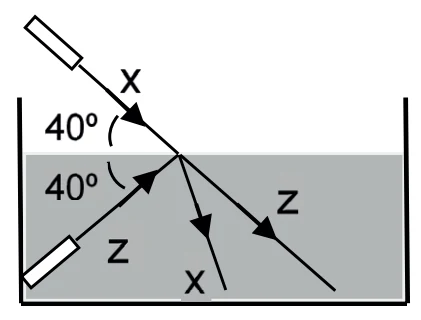 Alternativa A da questão 43