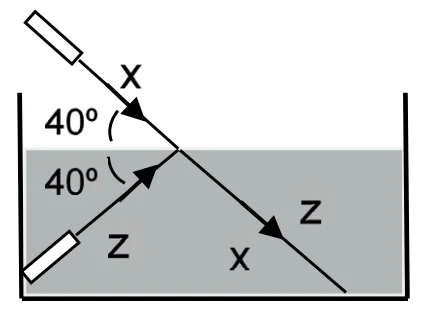 Alternativa C da questão 43
