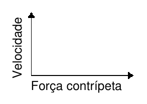 Velocidade para cima e força centrípeta para a direita.