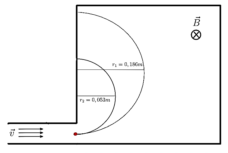 Trajetórias semicirculares de dois íons sob campo magnético.