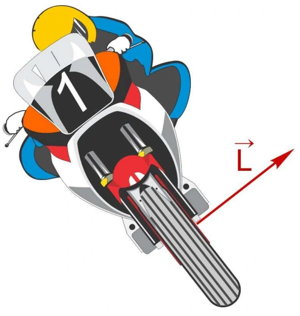 Torque e variação do momento angular — figura original da questão 25, módulo 2