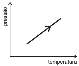 Alternativa D: reta inclinada, crescimento linear