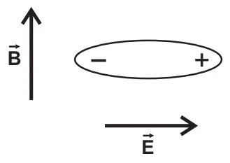 Alternativa B: molécula horizontal, alinhada com E, negativo à esquerda e positivo à direita (no sentido de E)