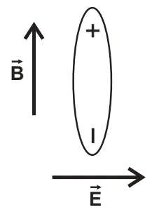 Alternativa D: molécula vertical, alinhada com B, positivo em cima