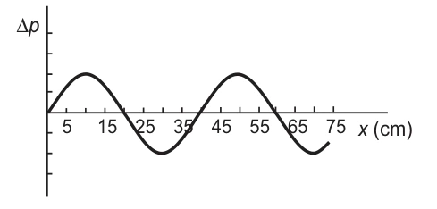 Comprimento de onda de 40 cm e amplitude menor.