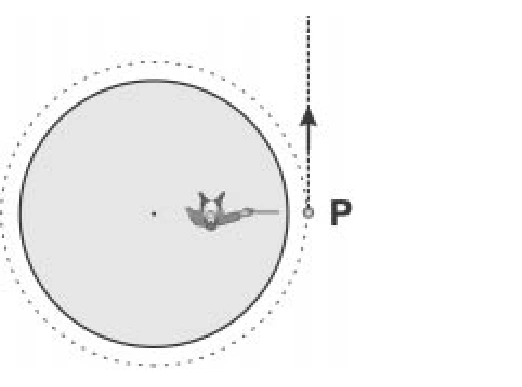 Trajetória retilínea tangente em P, para cima da figura.