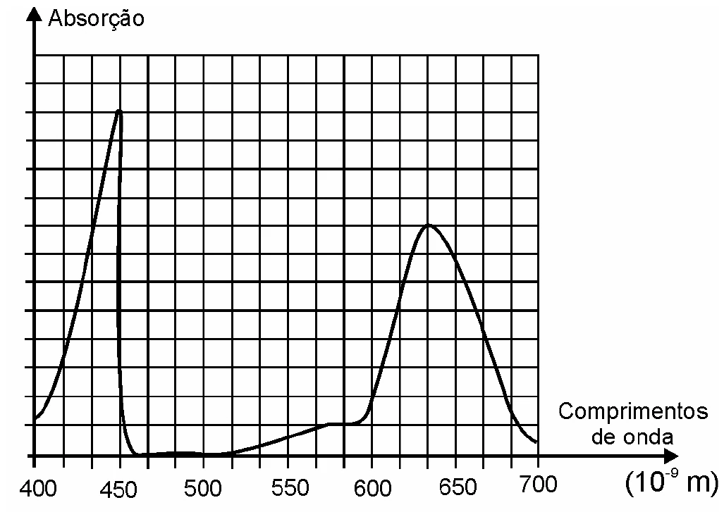 Gráfico da absorção em função do comprimento de onda, de 400 a 700 (10⁻⁹ m): pico mais alto e estreito em 450, absorção quase nula entre 450 e 600 e um segundo pico mais baixo e largo em torno de 640