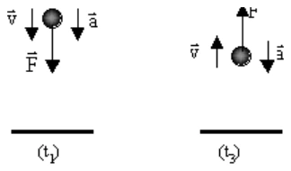 Alternativa B da questão 11, UFU 2003.1.