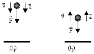 Alternativa D da questão 11, UFU 2003.1.
