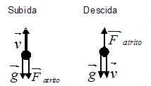 Subida: velocidade para cima, gravidade e resistência do ar para baixo. Descida: velocidade e gravidade para baixo, resistência para cima.