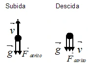 Subida: velocidade para cima, gravidade e resistência para baixo. Descida: velocidade, gravidade e resistência para baixo.