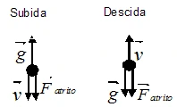 Subida: gravidade para cima, velocidade e resistência para baixo. Descida: velocidade para cima, gravidade e resistência para baixo.