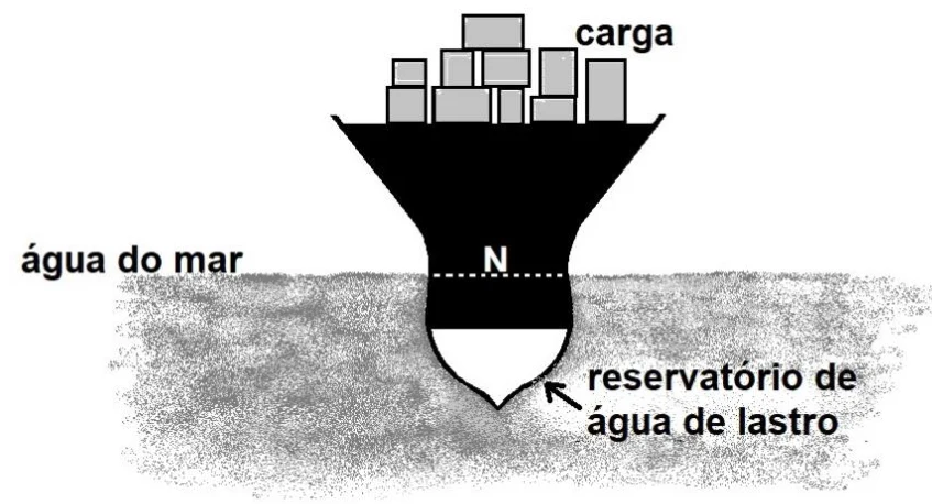 Corte transversal de um navio de carga com contêineres no convés; a linha N marca o nível da água do mar no casco e, abaixo, há um reservatório de água de lastro