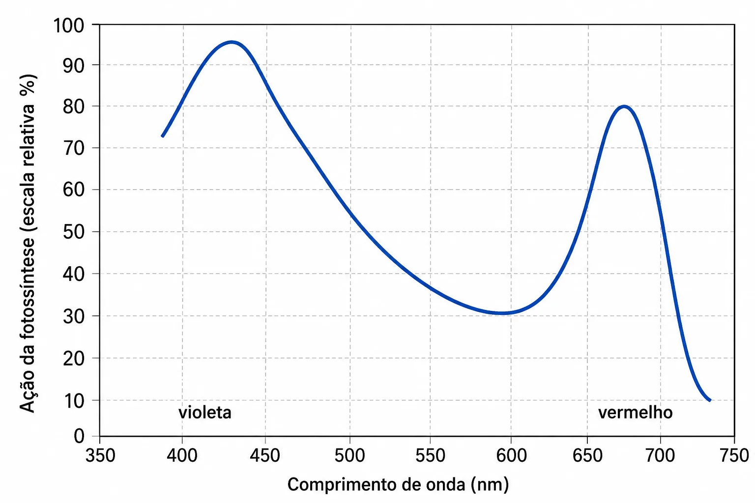 Gráfico da ação da fotossíntese em função do comprimento de onda, com picos de absorção na região violeta (próximo de 425 nm) e vermelha (próximo de 670 nm)