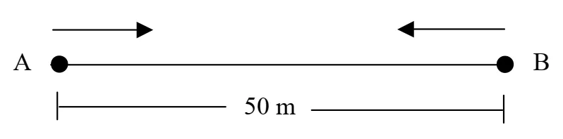 Figura da questão