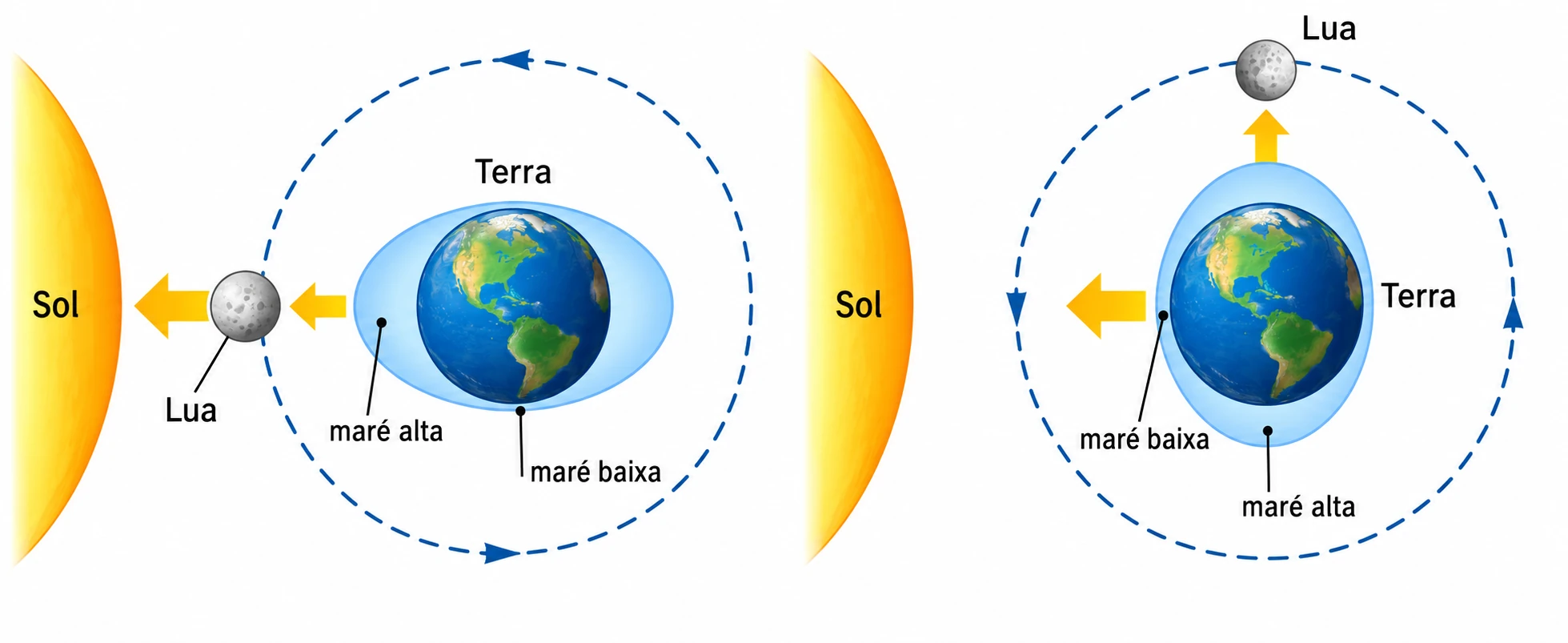 Esquema das marés na Lua nova e no quarto minguante
