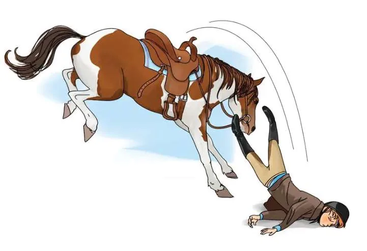 Cavalo parando bruscamente enquanto o cavaleiro mantém o movimento para a frente