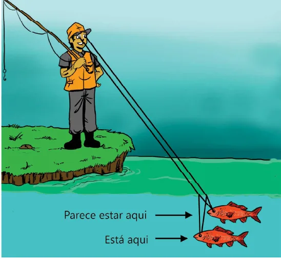 Esquema mostrando um peixe submerso e sua posição aparente vista por um observador fora da água