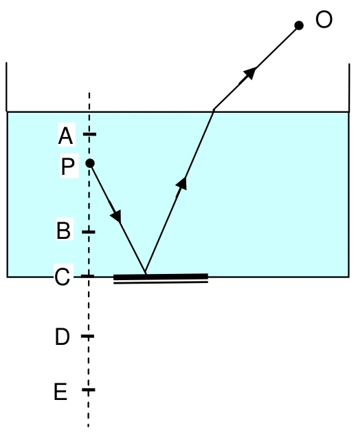 Aquário com água, um peixe P próximo da superfície, um espelho plano no fundo e o raio que sai de P, se reflete no espelho, sai da água e atinge o observador O; ao lado, uma reta vertical com os pontos A, B, C, D e E