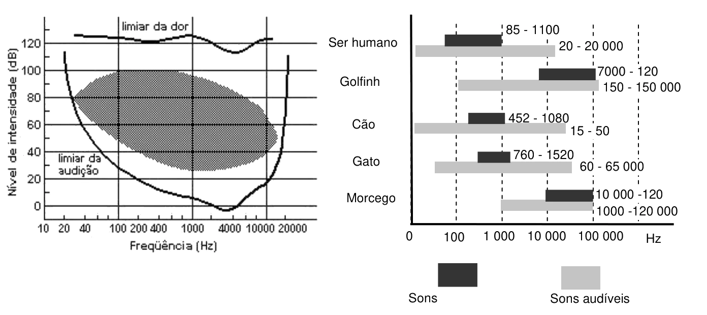 À esquerda, gráfico do nível de intensidade (dB) por frequência (Hz) para o ser humano, com limiares de audição e da dor. À direita, faixas de frequência de sons produzidos e de sons audíveis do ser humano, golfinho, cão, gato e morcego