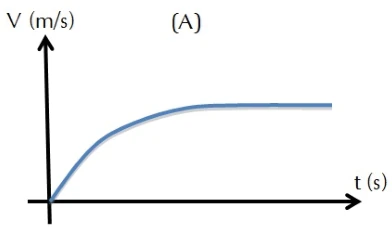 CESUPA 2012.2 — questão 13: gráfico da alternativa A