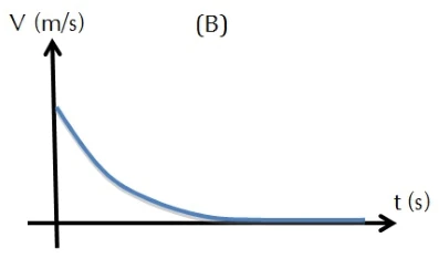 CESUPA 2012.2 — questão 13: gráfico da alternativa B