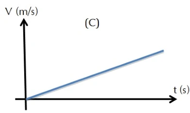 CESUPA 2012.2 — questão 13: gráfico da alternativa C