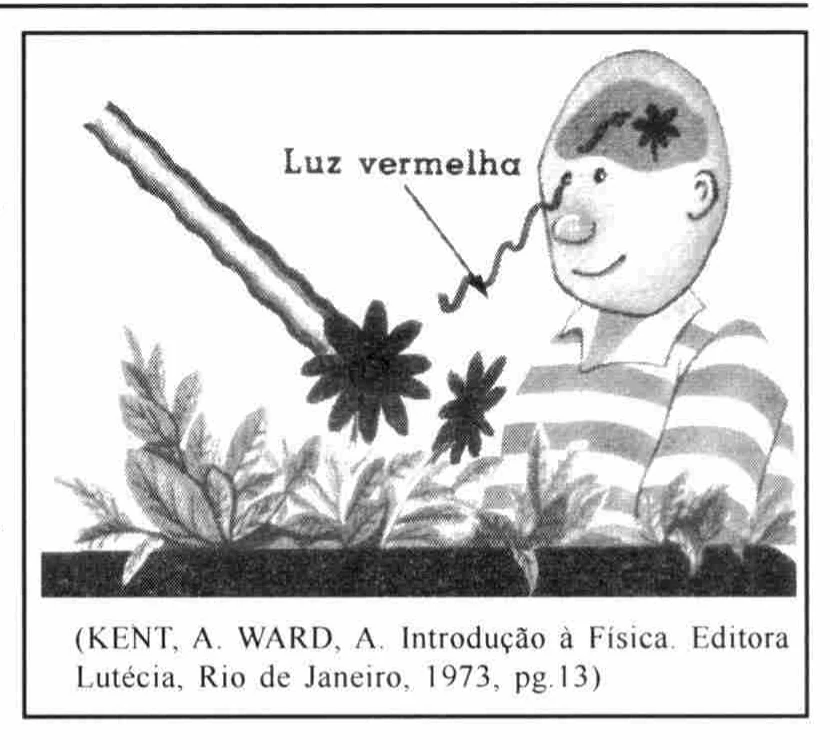 Garoto observando uma flor, com indicação de luz vermelha