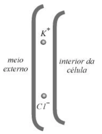 Esquema original: Eletricidade — Campo elétrico — Membrana celular