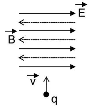 Linhas de campo E (para a direita) e B (para a esquerda), horizontais e paralelas; partícula q entrando verticalmente, perpendicular a ambos os campos