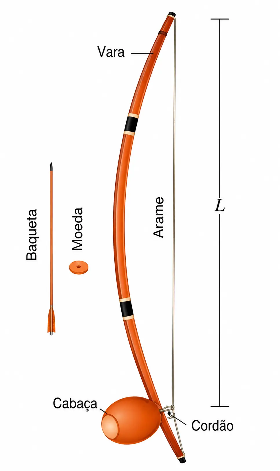 Berimbau com vara de madeira, arame esticado de comprimento L, cabaça na base, cordão, além da baqueta e da moeda usadas para tocar